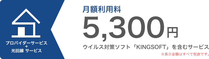 プロバイダーサービス+光回線サービス